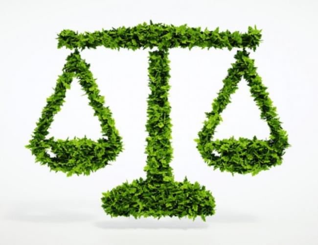 Qu'est-ce que le référé pénal environnemental ? Une procédure propre au droit pénal de l'environnement